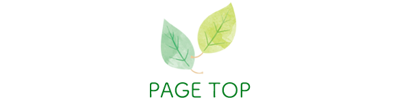 PAGE TOP